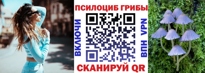 Галлюциногенные грибы Magic Shrooms  где найти   Красный Сулин 